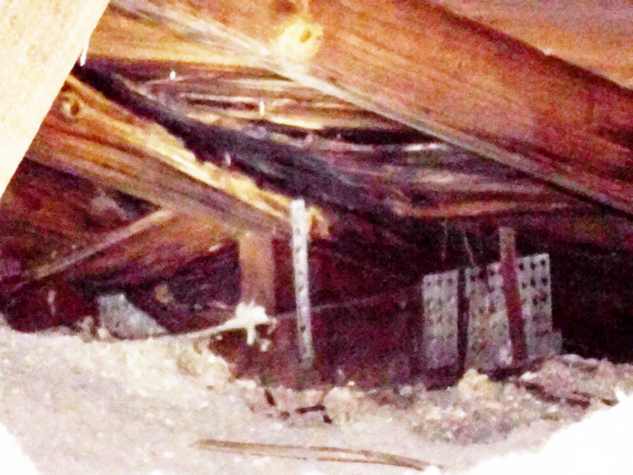 Picture of damaged roof structure and sheathing due to active leak
